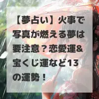 火事で写真が燃える夢のサムネイル