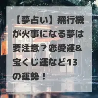 飛行機が火事になる夢のサムネイル