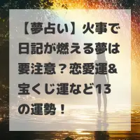 火事で日記が燃える夢のサムネイル
