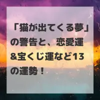 猫が出てくる夢のサムネイル