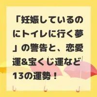 妊娠しているのにトイレに行く夢のサムネイル画像