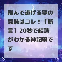 飛んで逃げる夢のサムネイル