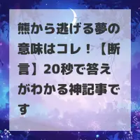 熊から逃げる夢のサムネイル