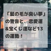 髪の毛が臭い夢のサムネイル画像