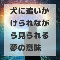犬に追いかけられながら見られる夢のサムネイル