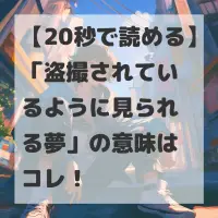 盗撮されているように見られる夢のサムネイル