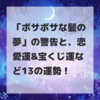 ボサボサな髪の夢のサムネイル画像