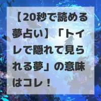 トイレで隠れて見られる夢のサムネイル
