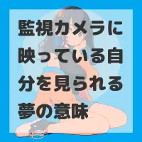 監視カメラに映っている自分を見られる夢のサムネイル