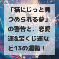 猫にじっと見つめられる夢のサムネイル