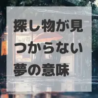 探し物が見つからない夢のサムネイル