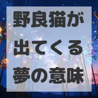 野良猫が出てくる夢のサムネイル画像