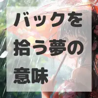 バックを拾う夢のサムネイル画像