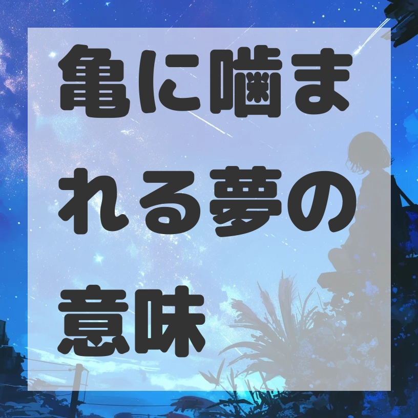 亀に噛まれる夢のサムネイル画像