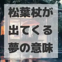 松葉杖が出てくる夢のサムネイル