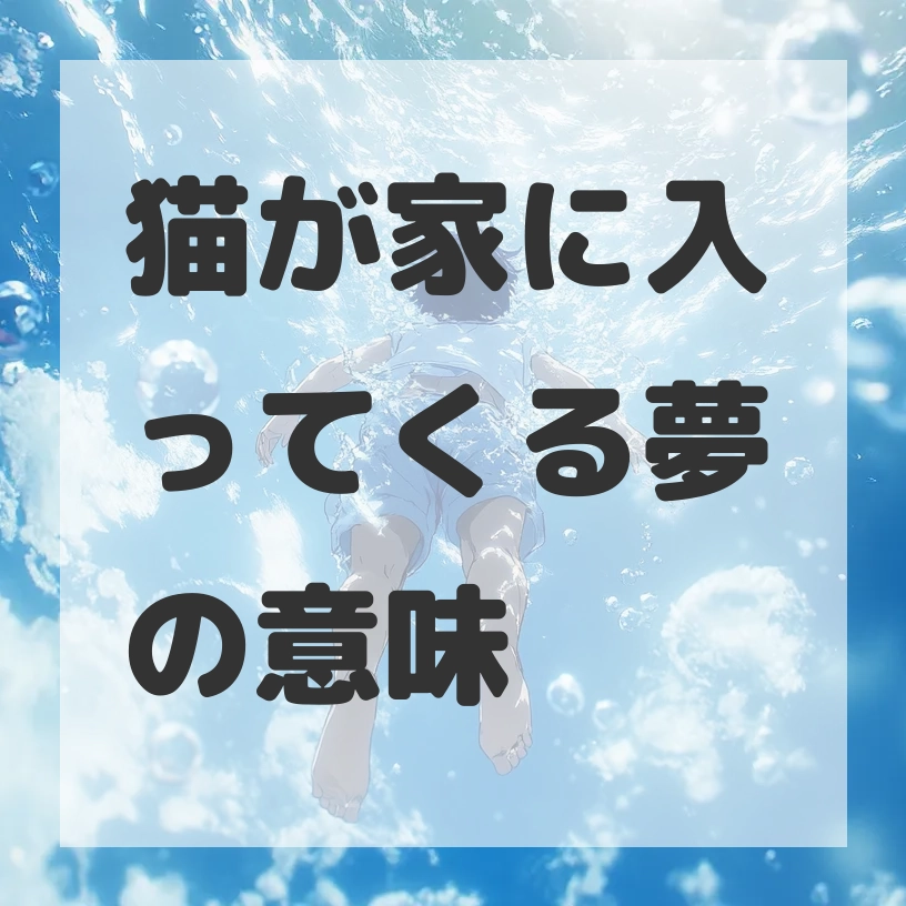 猫が家に入ってくる夢のサムネイル画像
