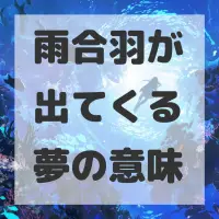 雨合羽が出てくる夢のサムネイル画像