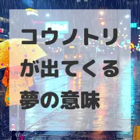 コウノトリが出てくる夢のサムネイル