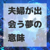 夫婦が出会う夢のサムネイル画像