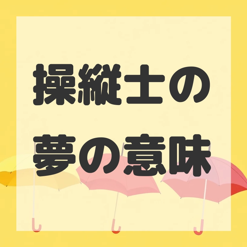 操縦士の夢のサムネイル画像