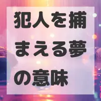 犯人を捕まえる夢のサムネイル