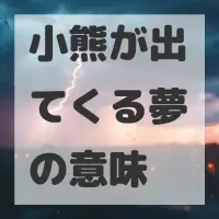 小熊が出てくる夢のサムネイル画像