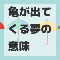 亀が出てくる夢のサムネイル画像