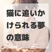 猫に追いかけられる夢のサムネイル