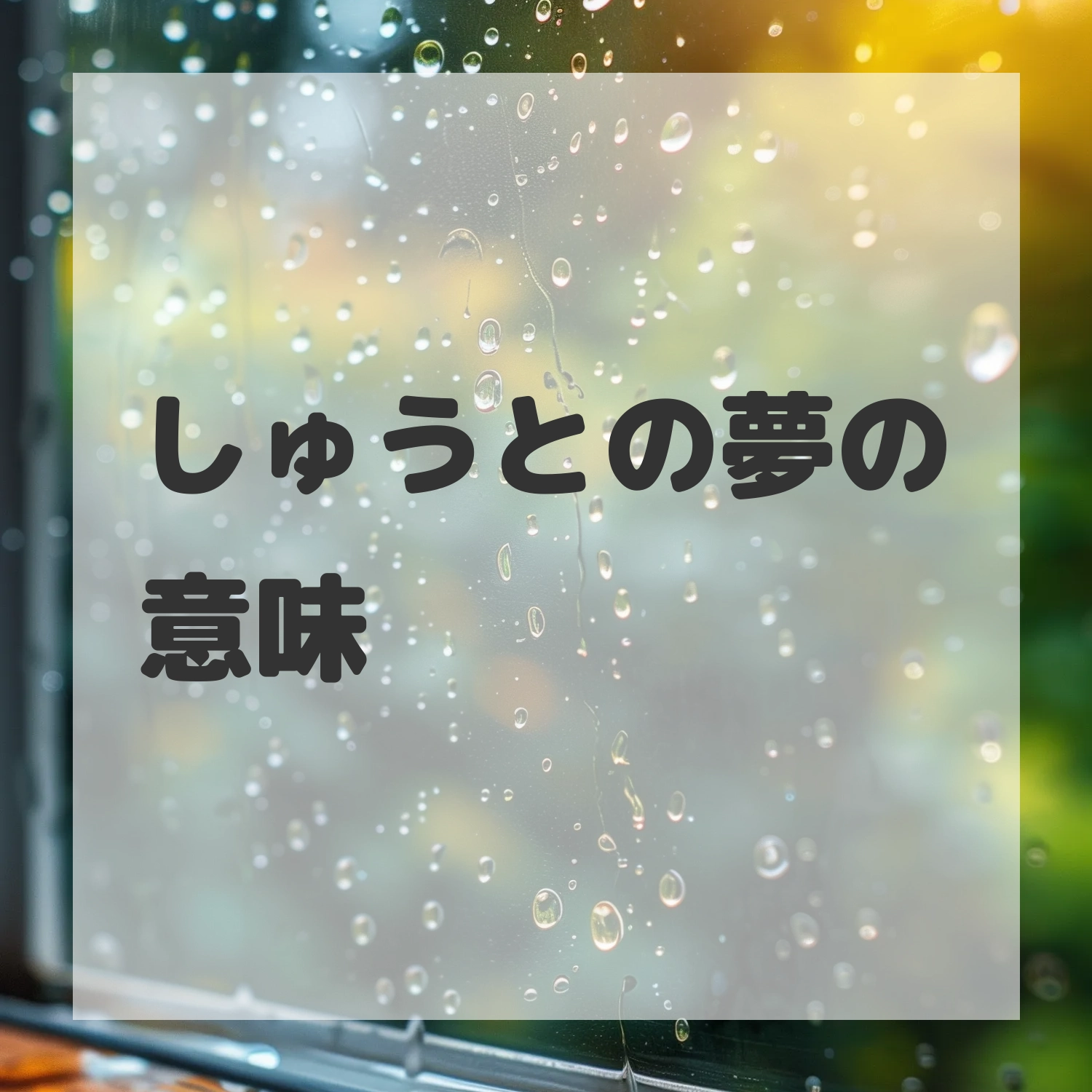 しゅうとの夢のサムネイル画像