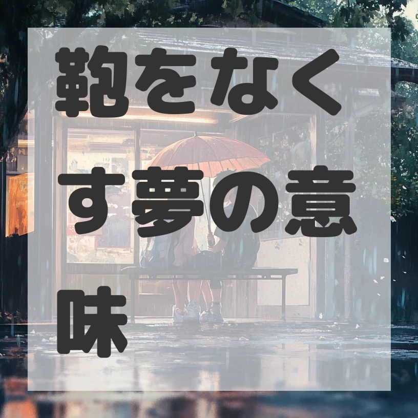 鞄をなくす夢のサムネイル画像