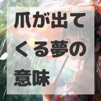 爪が出てくる夢のサムネイル画像