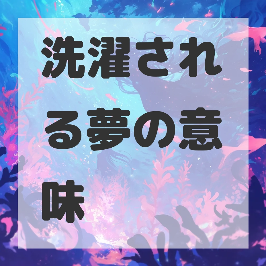 洗濯される夢のサムネイル画像