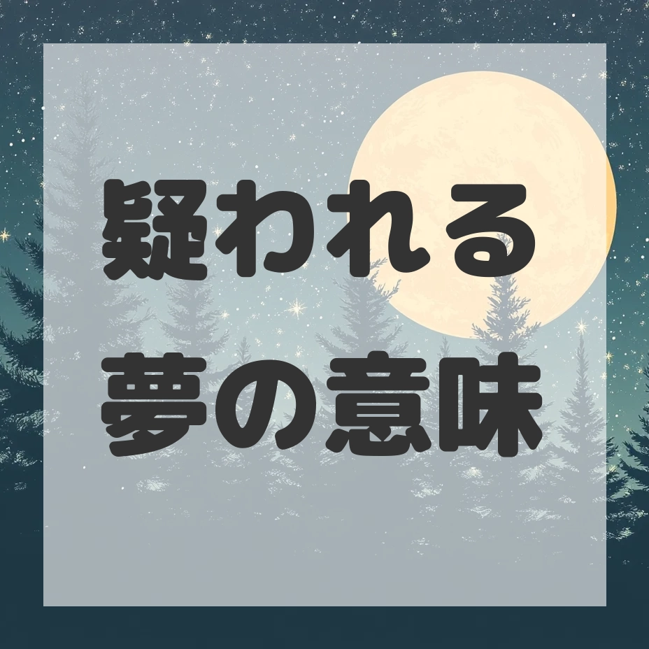 疑われる夢のサムネイル画像