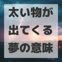 太い物が出てくる夢のサムネイル画像