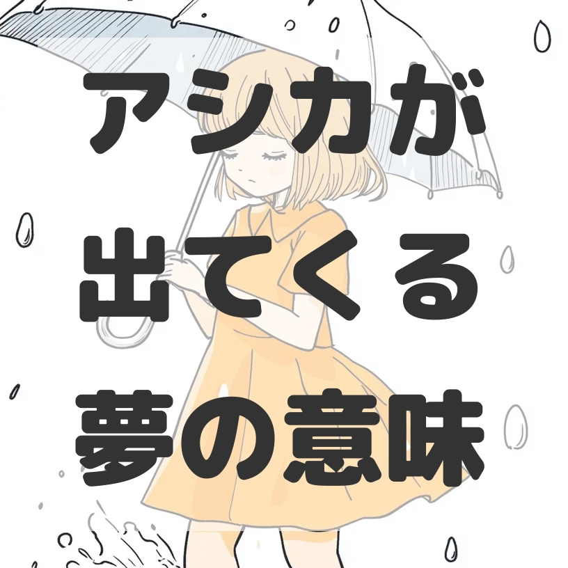 アシカが出てくる夢のサムネイル画像