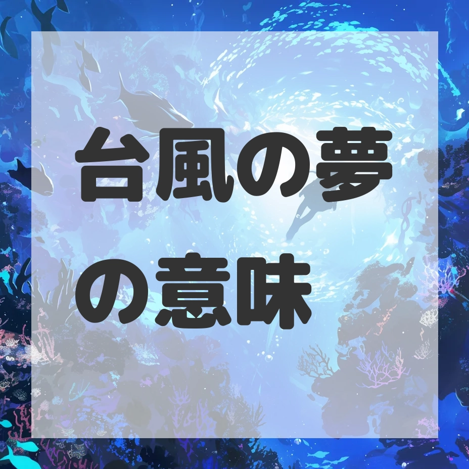 台風の夢のサムネイル画像