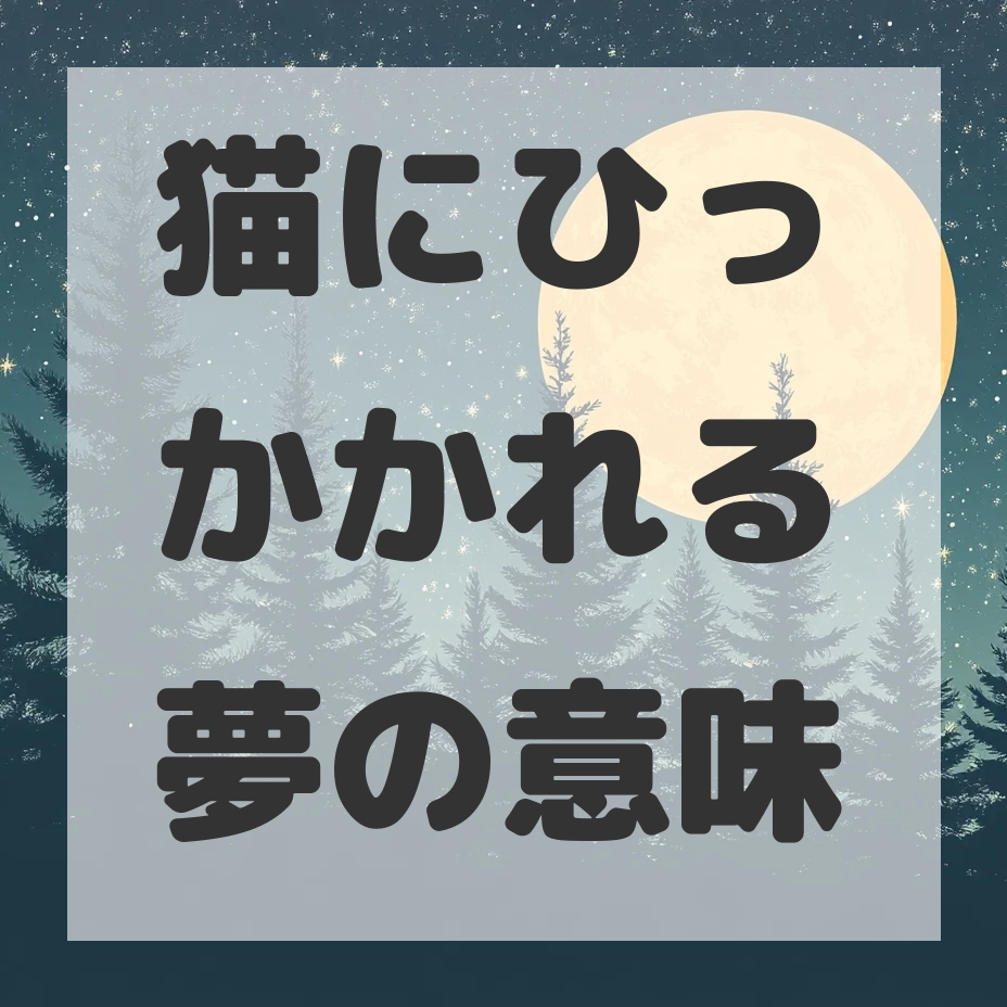 猫にひっかかれる夢のサムネイル画像