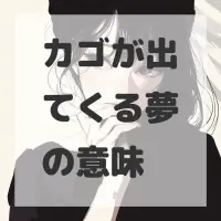 カゴが出てくる夢のサムネイル画像