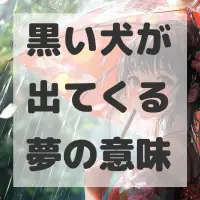 黒い犬が出てくる夢のサムネイル