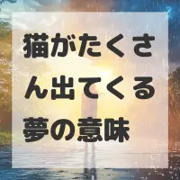 猫がたくさん出てくる夢のサムネイル画像