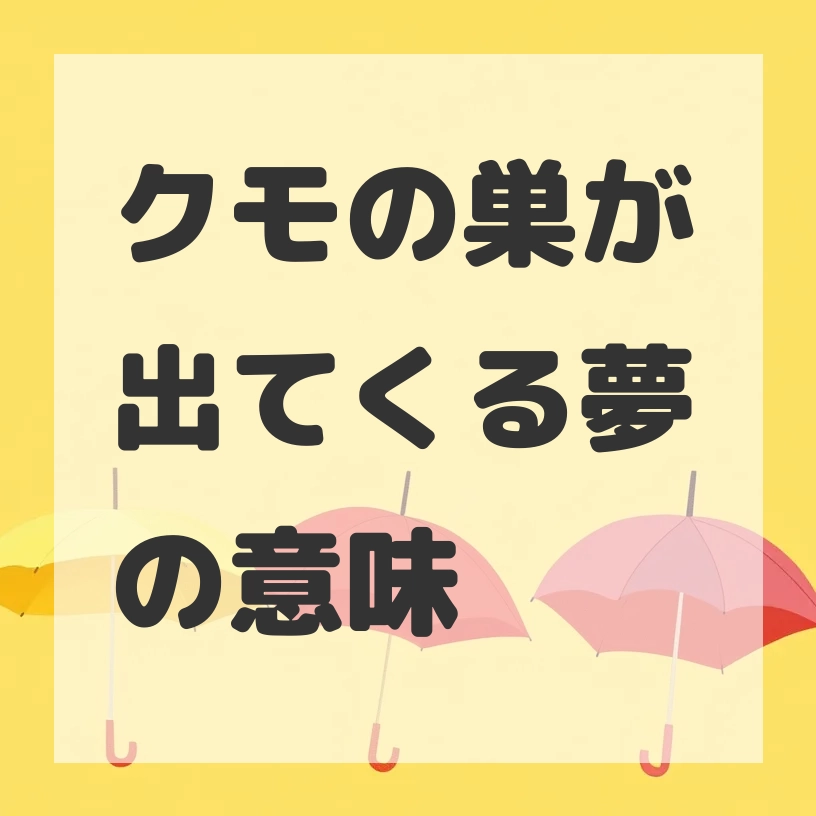 クモの巣が出てくる夢のサムネイル画像