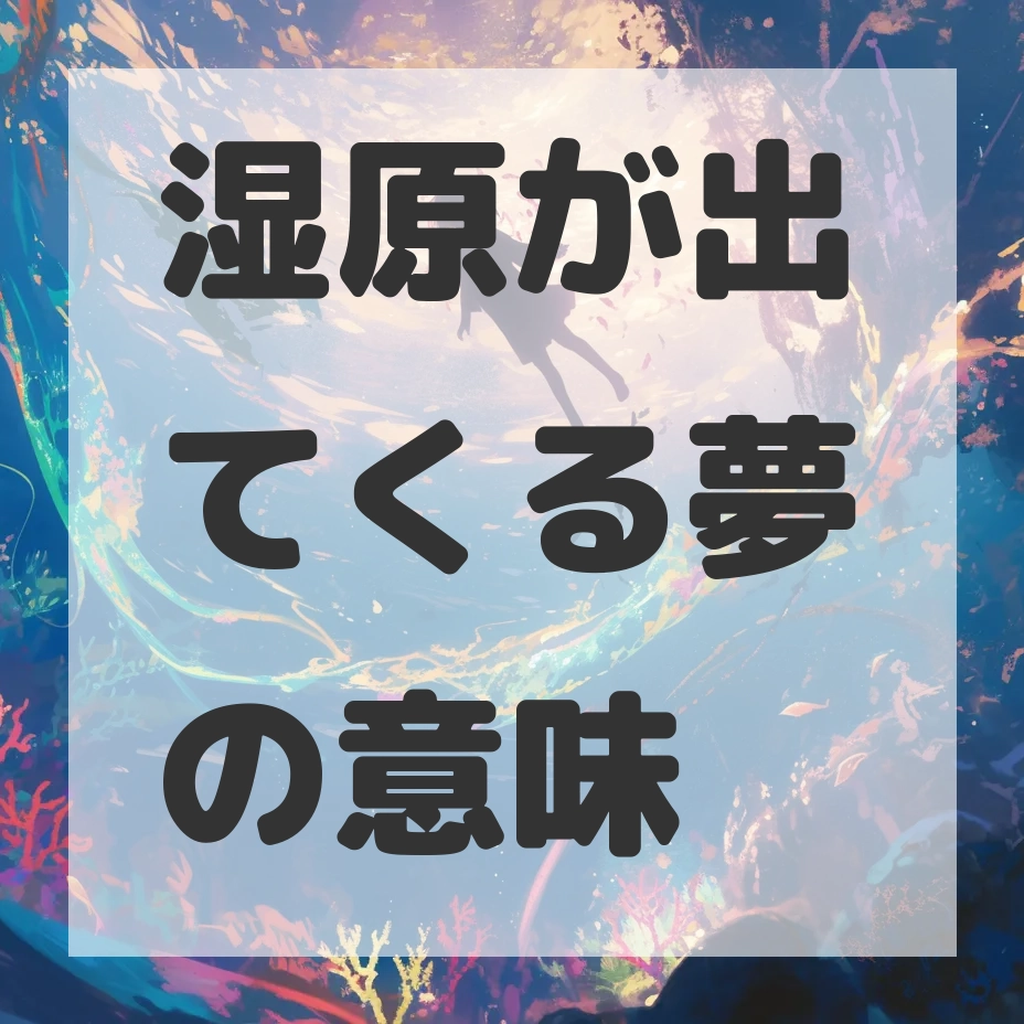 湿原が出てくる夢のサムネイル画像