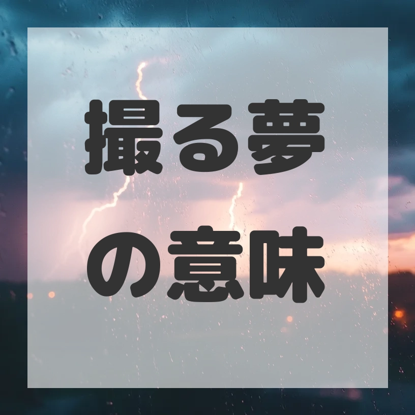 撮る夢のサムネイル画像