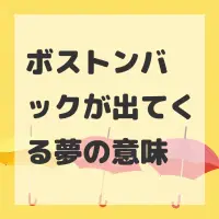 ボストンバックが出てくる夢のサムネイル画像