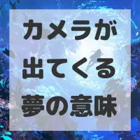 カメラが出てくる夢のサムネイル画像
