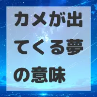 カメが出てくる夢のサムネイル画像