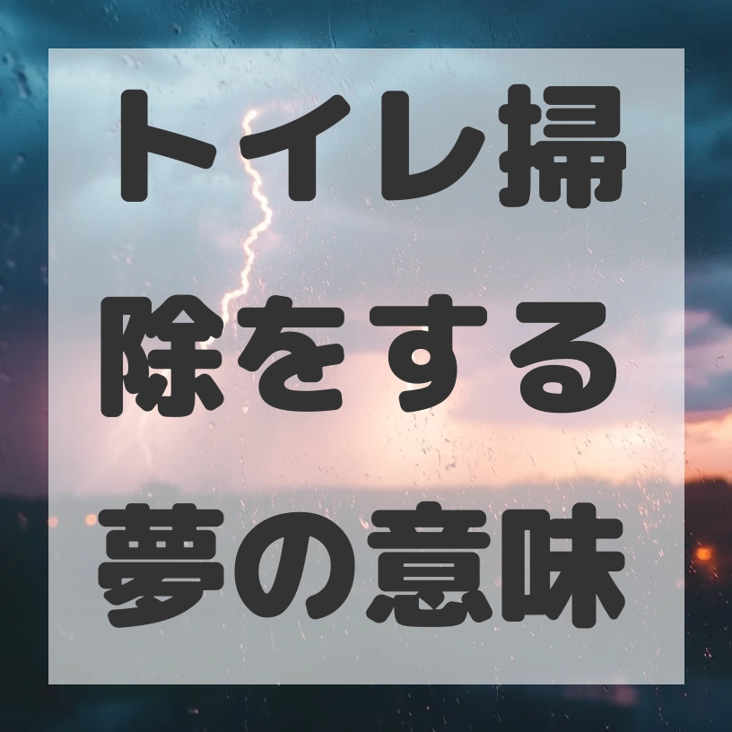 トイレ掃除をする夢のサムネイル画像