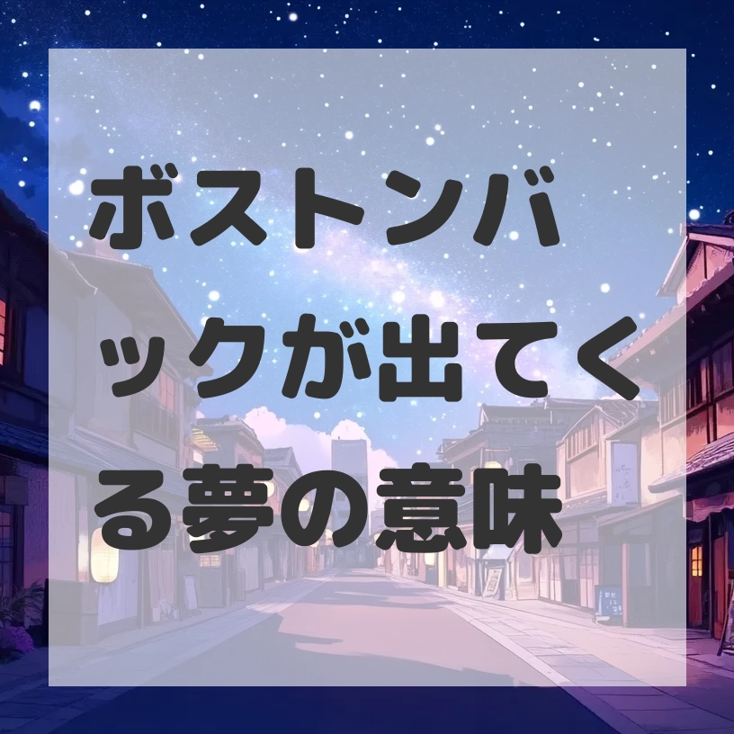 ボストンバックが出てくる夢のサムネイル画像