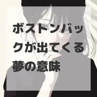 ボストンバックが出てくる夢のサムネイル