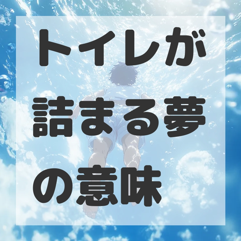 トイレが詰まる夢のサムネイル画像